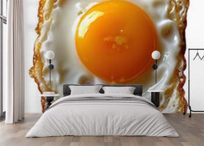 [Transparent Background PNG]Fried egg Wall mural